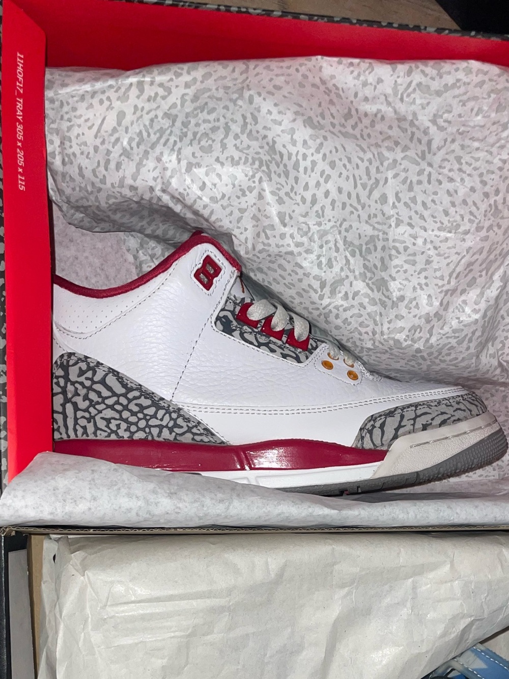 Jordan 3s